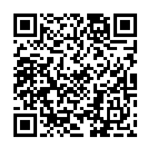 每一批逃亡回来的墨族强者在见到杨开的时候都吓了一跳二维码生成