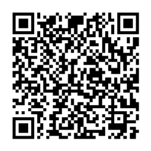 每一次僧人们功课时念经祈福产生的念力涌入长生灯塔是按照层次的二维码生成