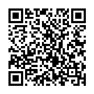 每一种招式和变化都追求的以最小的消耗最大程度的杀伤对手二维码生成