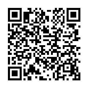 每一秒都以数以万计的剑气数量轰击着杨辰的混沌护罩二维码生成