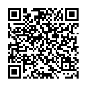 每一笔大一点儿的开支陆为民和黄鑫林都要仔细盘算二维码生成