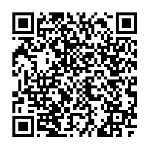 每个国家第一批进入丛林的参赛成员会根据上届的排名顺序依次进入到丛林内二维码生成