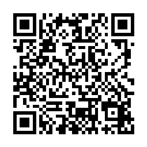 每个摊位面前总是不乏像他一样拿着求职信的人二维码生成