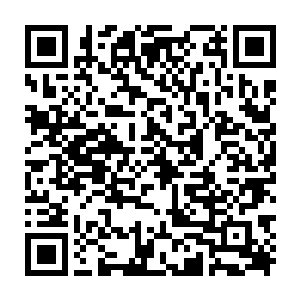 每个月还有内门长老级别的强者对一些优秀的内门弟子进行一对一的培养二维码生成