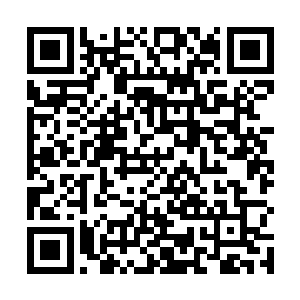 每个月还要固定上交一部分的丹药――你我还没有筑基二维码生成