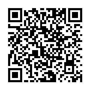 每件道具都很贴切地反映了不同种族的特质和文化二维码生成