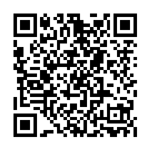 每位客人所食用的血鸭也成为独一无二的艺术品二维码生成