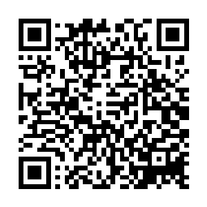 每多吸收一分混沌之气对于日后实力的提升便是一个帮助二维码生成