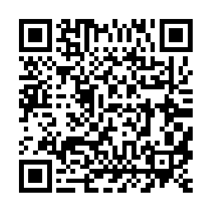每天看着那些原本生长在海洋中的生命回归到大海的自由和快乐二维码生成