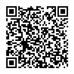 每季度甚至每个月都会通过官方网站或媒体公开本机构的收支明细二维码生成