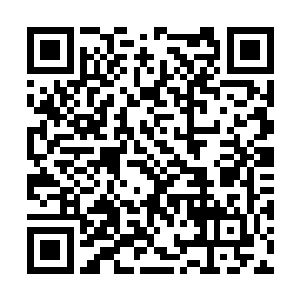 每晚都有各色刺激的表演挑动着宾客们的视觉神经二维码生成