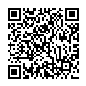 每次他过来她都变着花的让小厨房里的厨娘做些滋补的菜式二维码生成