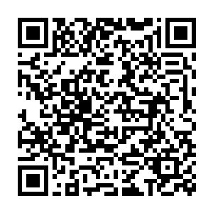 每次她受伤受委屈亦或是落魄的时候他总是把罪责都揽在了自己的身二维码生成