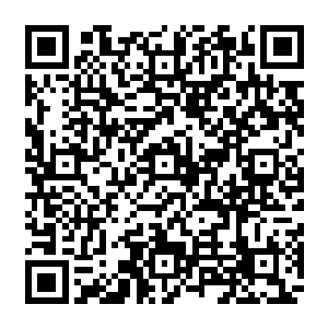 每次跟白兰出来都会遇到点什么事似的……妮娜淡定的趴在白兰腿上一边想着自己的事情二维码生成
