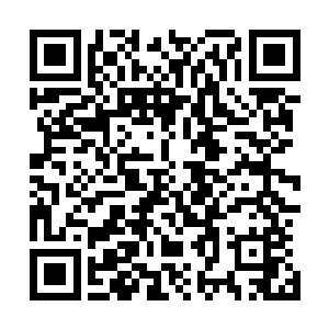 比之第一拳还要沉重三倍的右勾拳就这么轰在了苏凡的下巴二维码生成