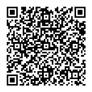比任何人都关心堪塔斯下一代成长的纳什基尔大人已经想出使用人工干涉的方法人为调整堪塔斯的基因组了二维码生成