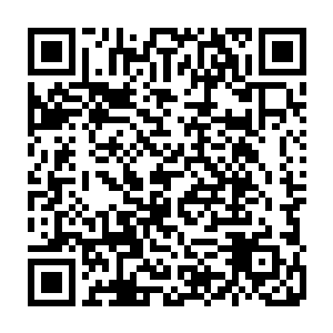 比如之前八两叔给我说的红尘魔宗和地底魔宗和寻龙会的之间的密切关系二维码生成