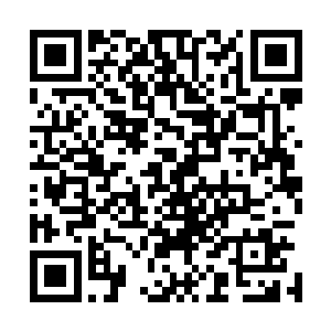 比如你们洼崮的万亩药材种植基地吸引昌南中药材市场落户二维码生成