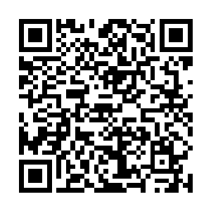 比如具备传说特征的苏前辈不会再诞生于这个宙光碎片二维码生成