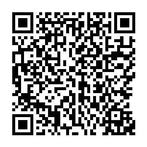 比如十多年前孔家老大就曾经带着当时也不过十几岁的孔二一起见过唐老爷子的二维码生成