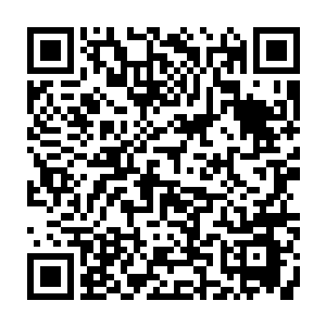 比如据我所知我县律师培养和律师介入侦察和诉讼体系的工作开展就较为滞后二维码生成