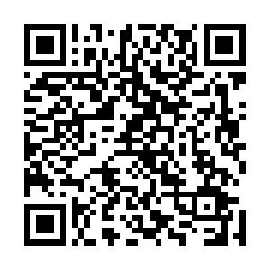 比如琴瑟色那好似和其他的仙乐师完全不在一个世界里似的二维码生成