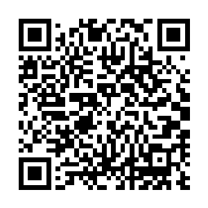 比如被人敬仰的大祭司便是由四大家族中的一家的嫡女担任二维码生成