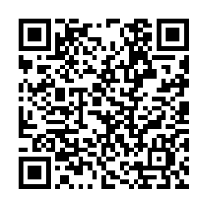 比如说怀远堂张家血脉最注重的弓箭系的先祖血脉二维码生成