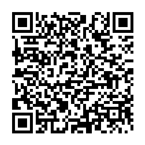 比尔森可能也没有想到一个带着传送的亚索竟然敢跟自己打这么凶二维码生成