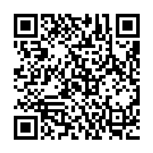 比尔的身份便是罗恩的私人助理……其实就是保镖兼打手的二维码生成
