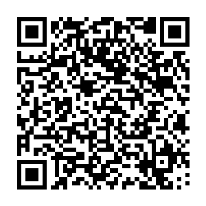 比百慕大那一枚危害更大的还有眼前这个即将进化成为幼年金钢的――金钢大帝二维码生成