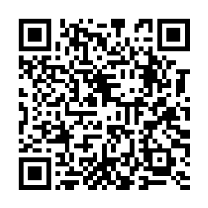 比自己以往求仙问道时遇到的每一位仙神都要可怕二维码生成