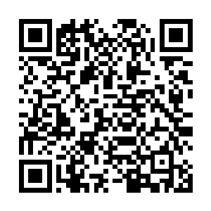 比起上一次他们杀的两个十四翼堕落天使还要强上不少二维码生成