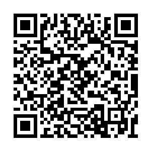 毕竟一草一木都能变幻出让人或生或死的毒和药二维码生成