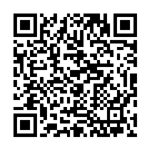 毕竟两个小家伙看自己的眼神已经有那么一些不太一样了二维码生成