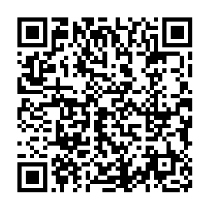毕竟之前的时候杨戬在准备收服对方的时候就已经做好了这方面的打算二维码生成