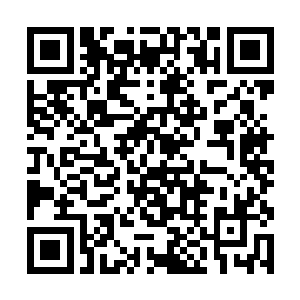 毕竟他们一大堆大乘期修士都没能探测出陨石的秘密二维码生成