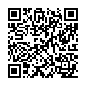 毕竟他们在刚刚和全真教陈华的较量之中败了下来二维码生成