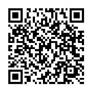 毕竟他们所得知的都是定王冷酷无情但是定王妃为人却极重轻易二维码生成