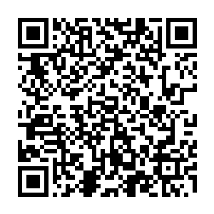 毕竟他们这些家族和门派之中出问题的还是家族和门派之中很有地位的人二维码生成