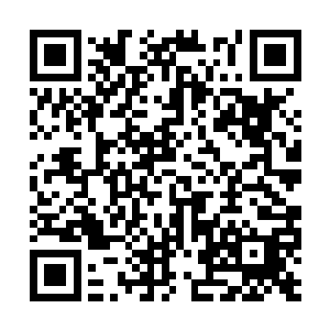 毕竟他对自己的这一道可怕的攻击抱有绝对的自信二维码生成