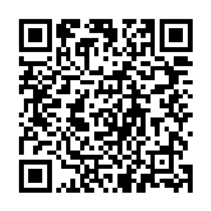 毕竟他有逍遥神戒里面的时间阵法可是可以充分的利用的二维码生成