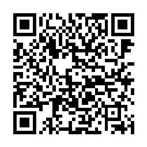 毕竟你和奋斗小伙可以说是这本书第一批支持者之一了二维码生成