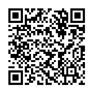 毕竟像这种规模的城市在神州域中可是数不胜数的二维码生成