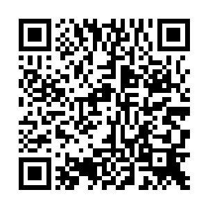 毕竟刚才要是真的打起来的话对双方可是十分的不利的二维码生成