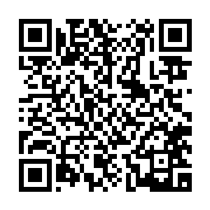 毕竟在人类的心中这两个种族特别是精灵族可是十分的强悍的二维码生成