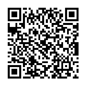 毕竟在场的绝大多数凶兽都是没有被噬灵一族融合的二维码生成