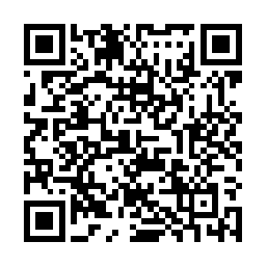 毕竟大部分最佳影片的提名都要兼顾到艺术性和商业性二维码生成