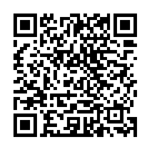 毕竟天尊顶峰跟圣尊之间可不仅仅是一个小层次那么简单二维码生成