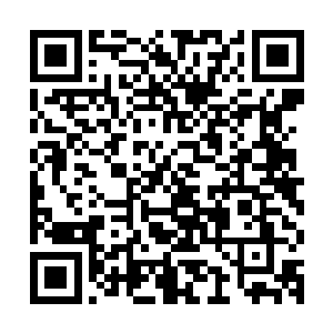 毕竟如果让岑宇昊知道昨天是母亲执意要去给苏煜城过生日的话二维码生成